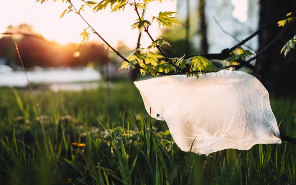 Why Are Plastic Bags Being Banned